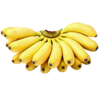 Banana Cavendish (Malaysia Imported)